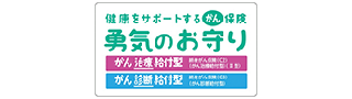 健康をサポートするがん保険 勇気のお守り