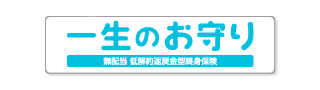 一生のお守り